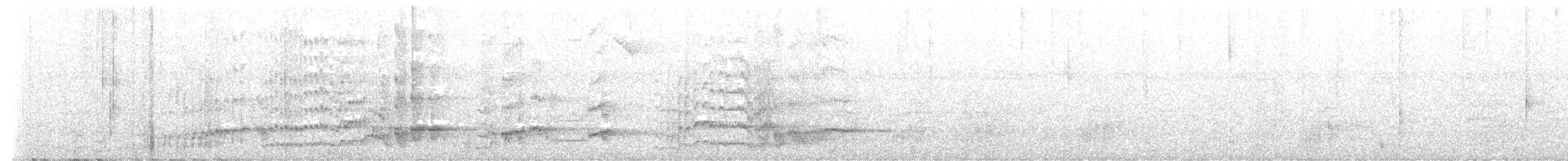 amazoňan dominický - ML626915688
