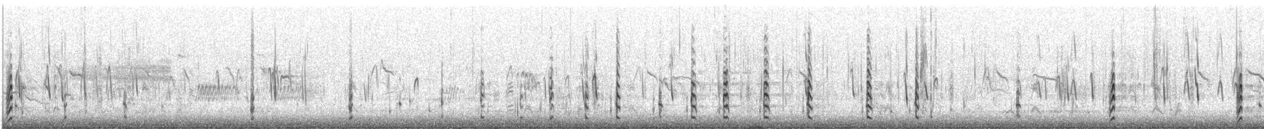 Black-necked Stilt (Black-necked) - ML626917170