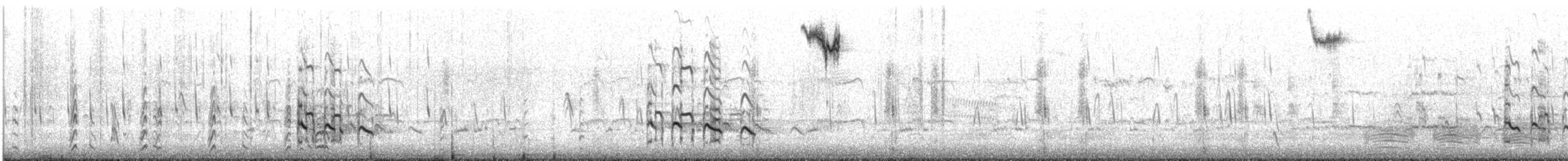 Greater Yellowlegs - ML626917175