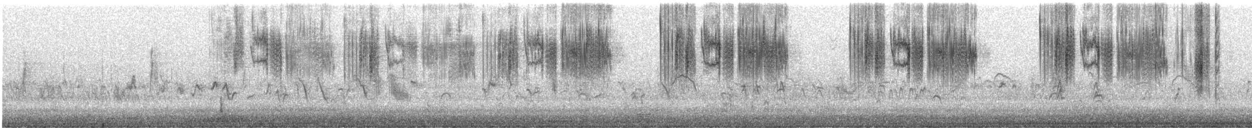 Anna's Hummingbird - ML626917191