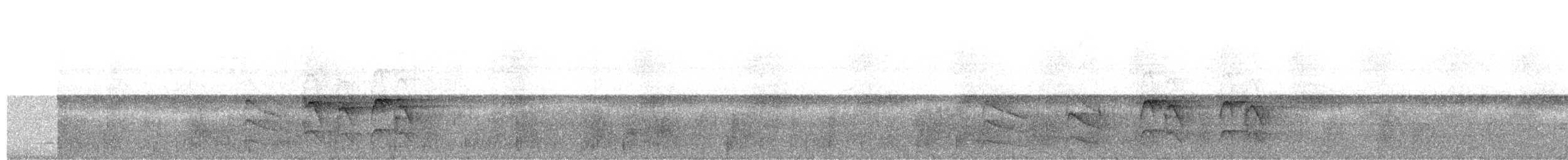 Dusky-chested Flycatcher - ML626917495