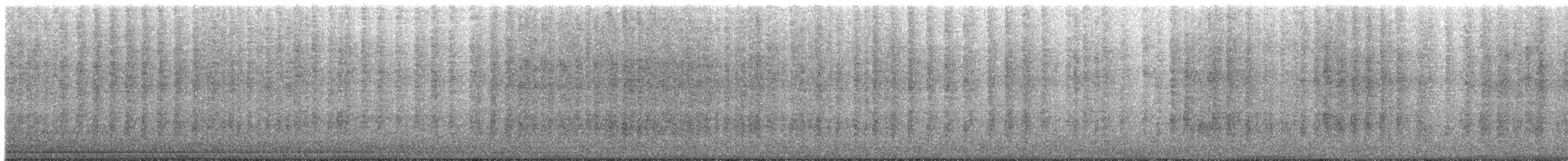 Troglodyte zébré - ML626924259