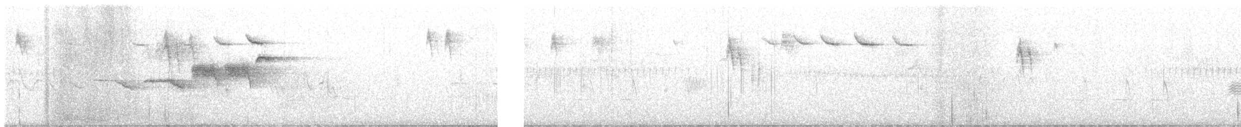Townsend's Warbler - ML626928556