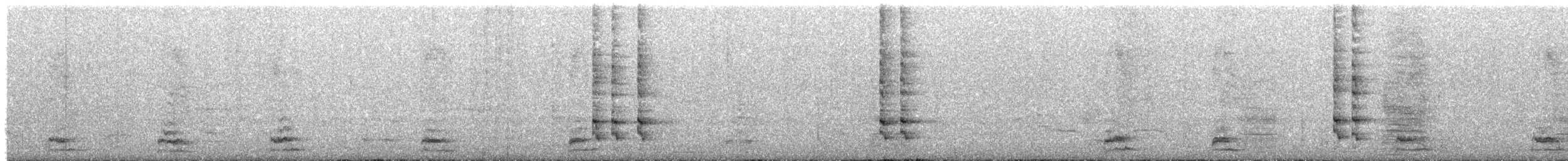 Ak Enseli Mavi Karga - ML626929138