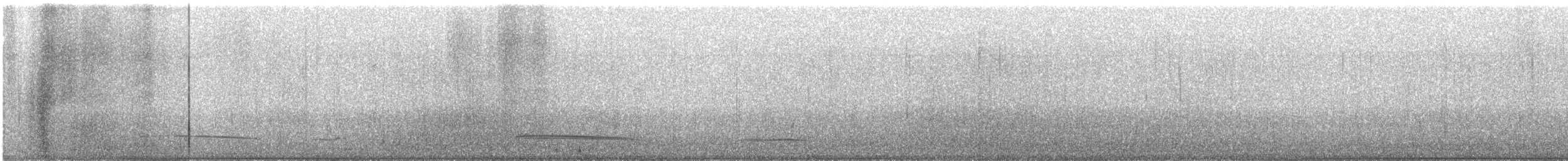 Black Scoter - ML626931971