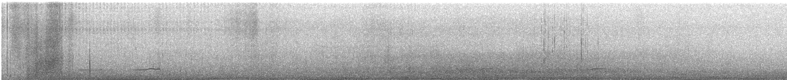 Black Scoter - ML626931979