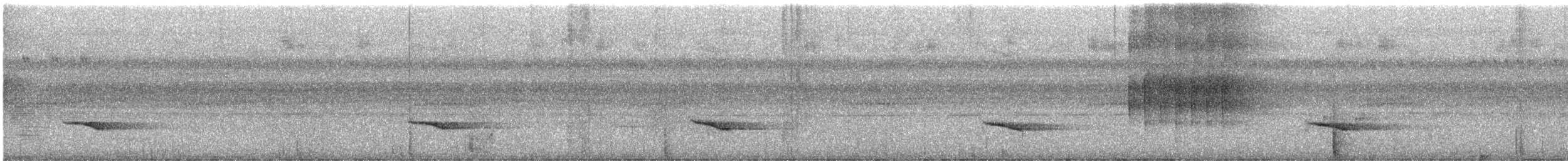 Silver-breasted Broadbill - ML626932695