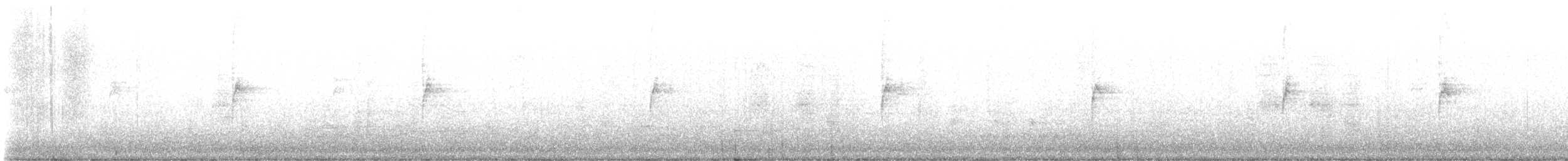 Zonotrichia sp. - ML626944136