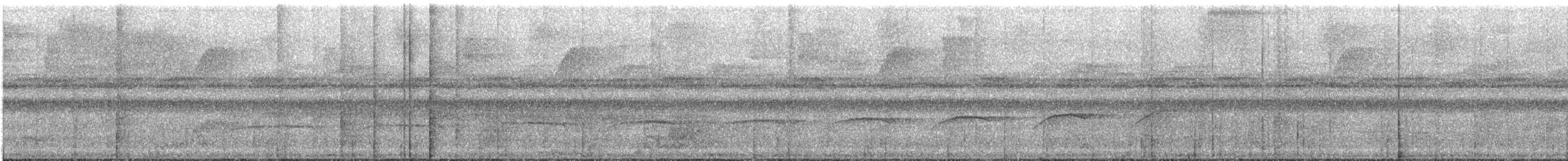 Gray Antwren - ML626952431