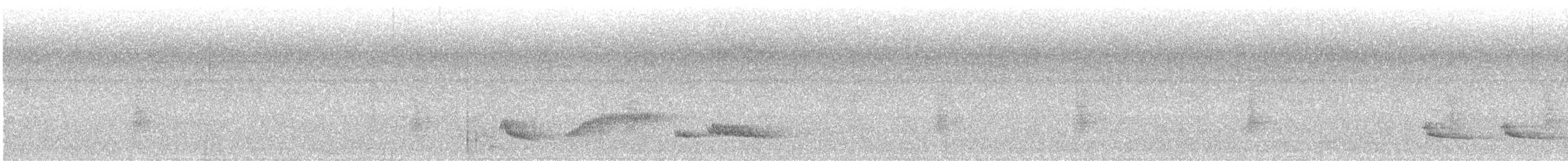 Tropical Mockingbird - ML626958694