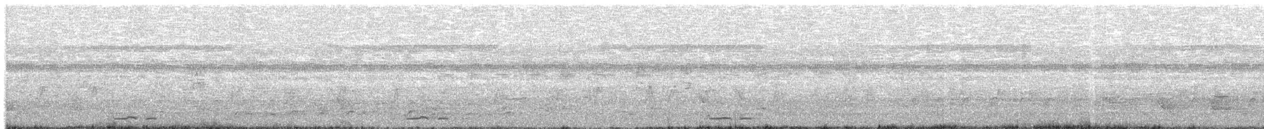 holoubek proužkokrký - ML626958707