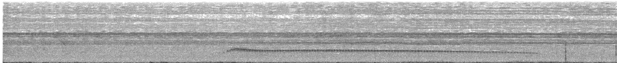 ledňáček torotoro - ML626958739