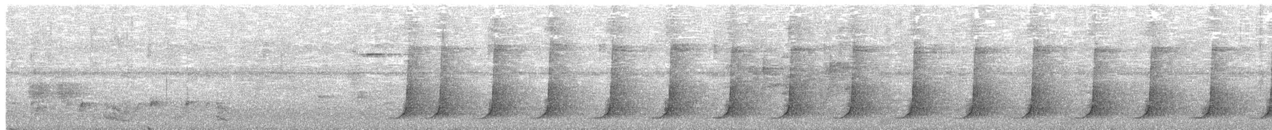 kosovec novoguinejský - ML626958812