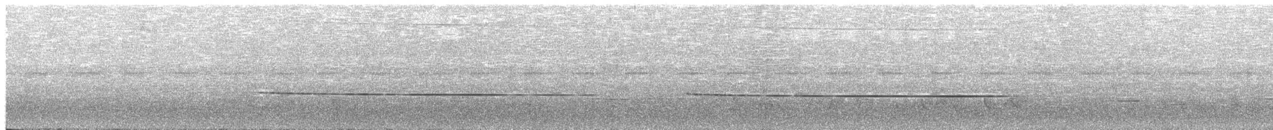 kosovec novoguinejský - ML626958813