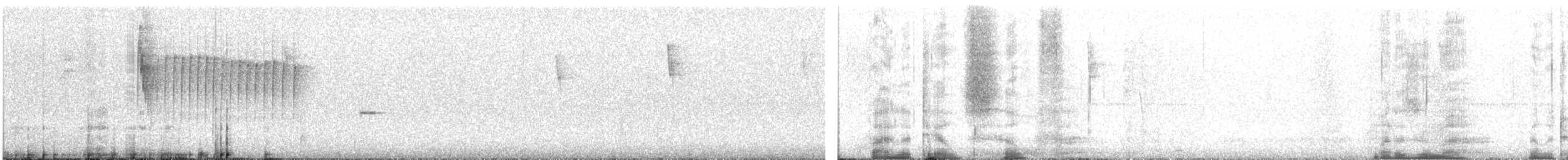 Violet-tailed Sylph - ML626958847