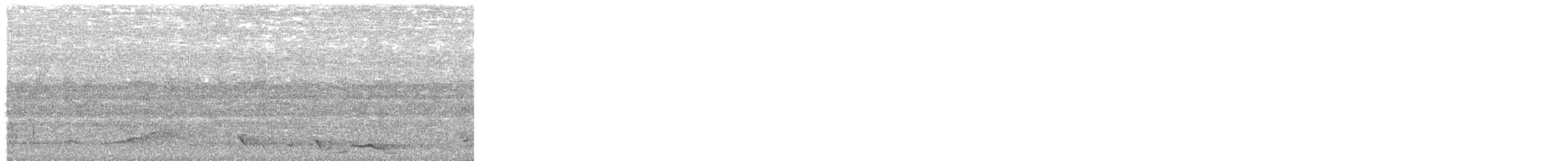 pitohui černohlavý - ML626958862