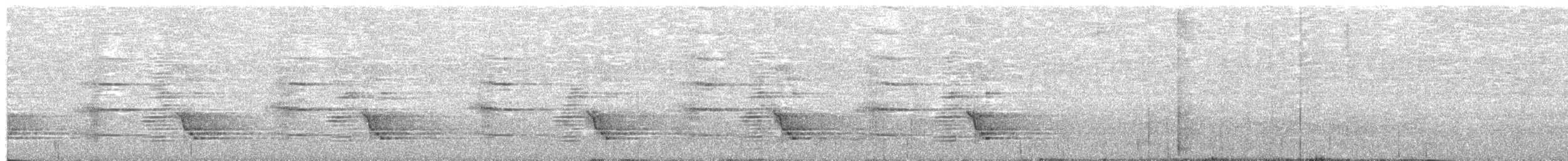 drongo vločkoprsý (ssp. carbonarius) - ML626958892