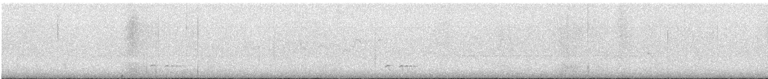 Chami Antpitta - ML626959110