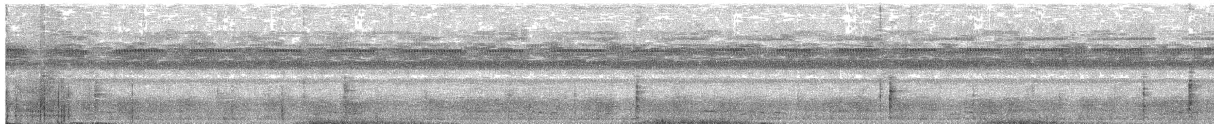 chřástal soumračný - ML626959672