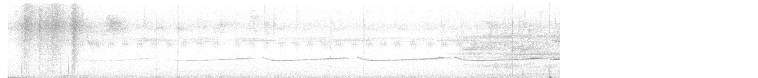 Grisin sanglé - ML626963194