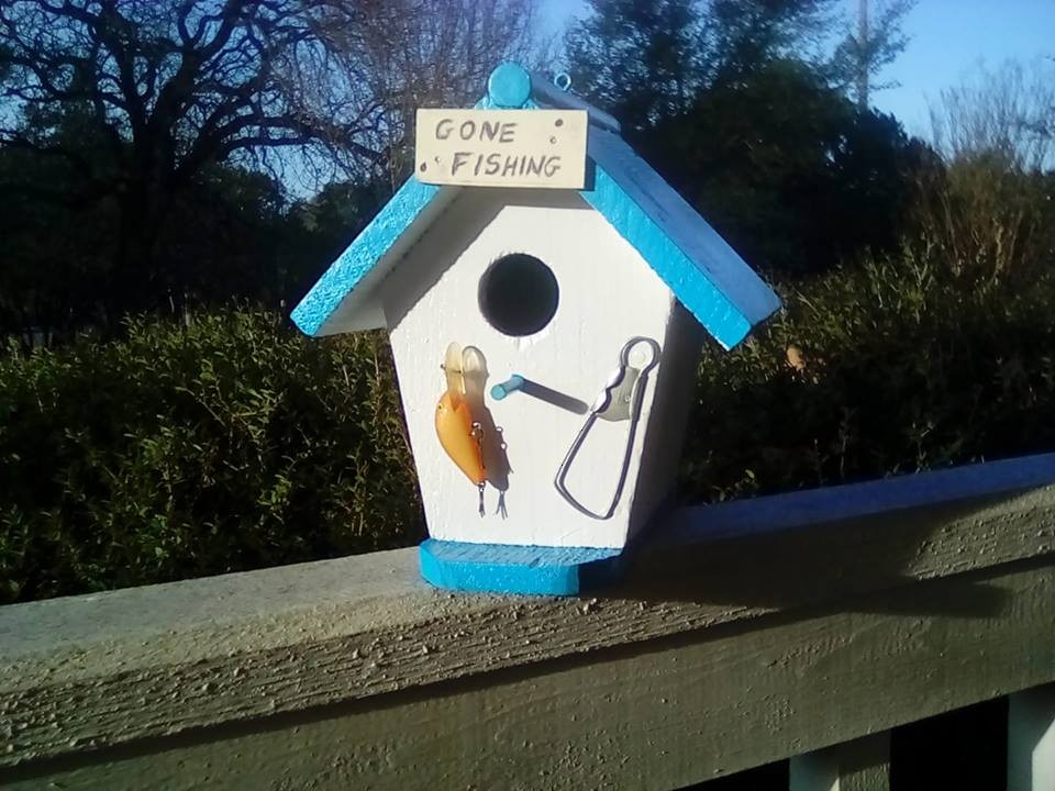 Carolina Chickadee - ML626963854