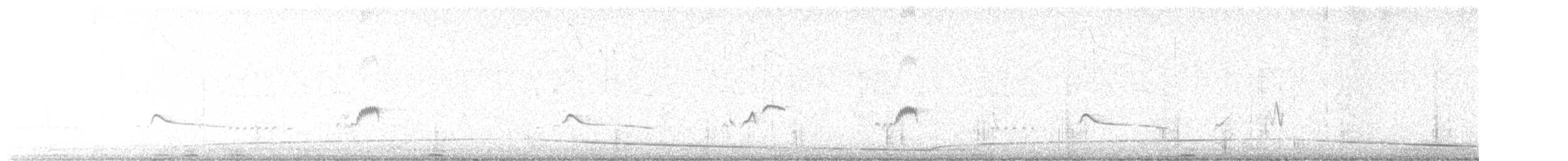 Say's Phoebe - ML626973699