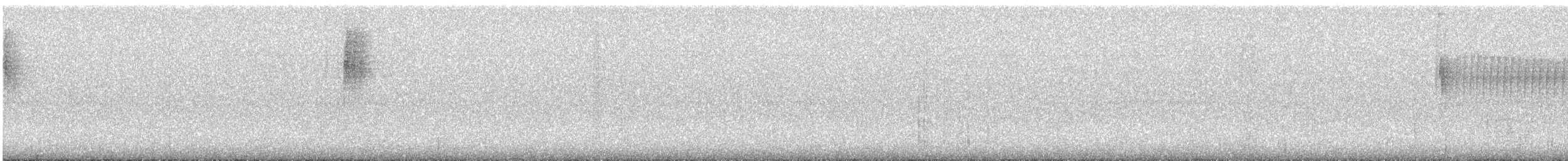 Violet-tailed Sylph - ML626973802