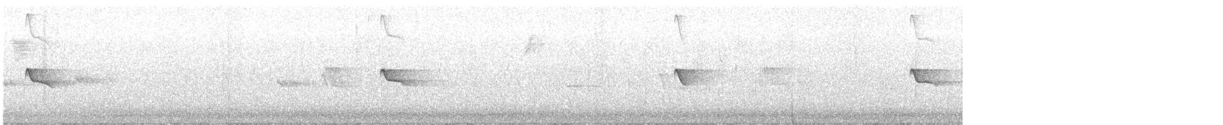 Black Phoebe - ML626974547