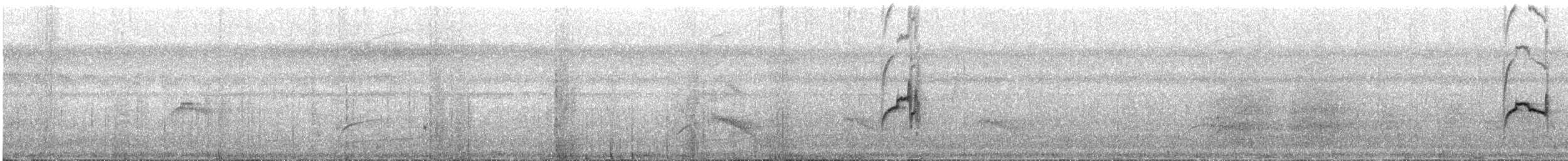 Drab Water Tyrant - ML626986023