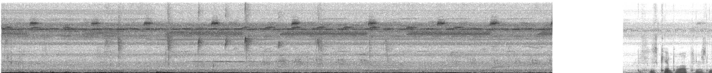 Gray-breasted Sabrewing (obscurus) - ML626986024