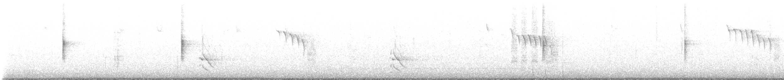 Yellow-rumped Warbler (Myrtle) - ML626988407