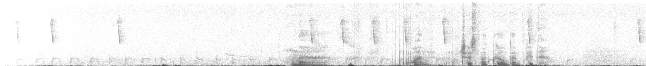 Band-tailed Pigeon - ML626989231