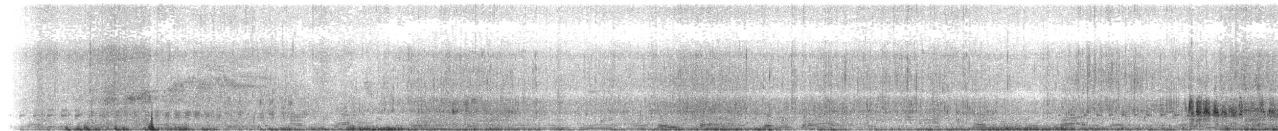 Southern Royal Albatross - ML626991068