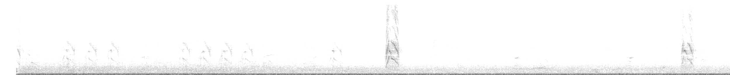 Rose-ringed Parakeet - ML626994598