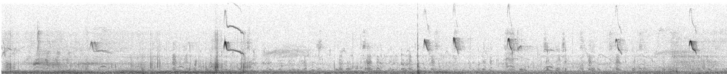 Black Phoebe (Northern) - ML626995445