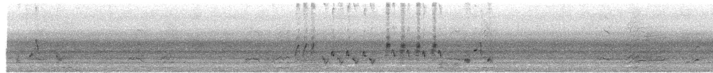 Australian Reed Warbler - ML626997296