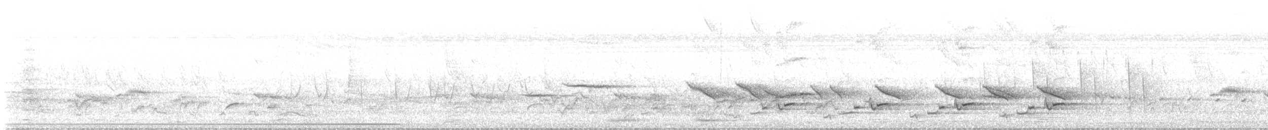 Sarı Benekli Alacayelve - ML626998769