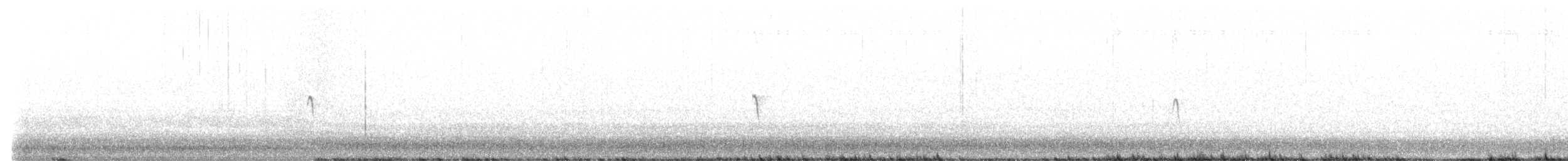 Eastern Phoebe - ML627007441