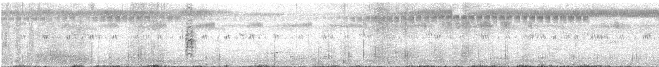 Pin-tailed Snipe - ML627007608