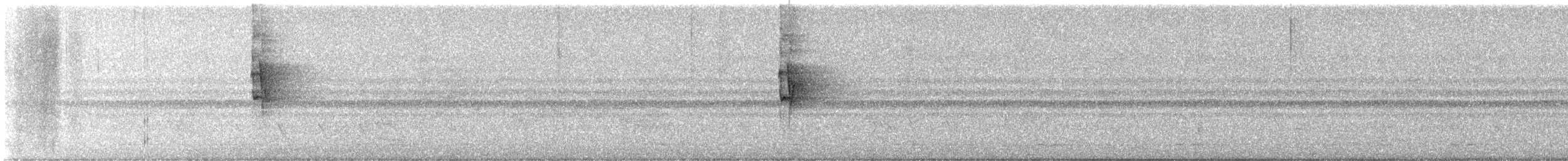 Mosquitero Soror - ML627008942