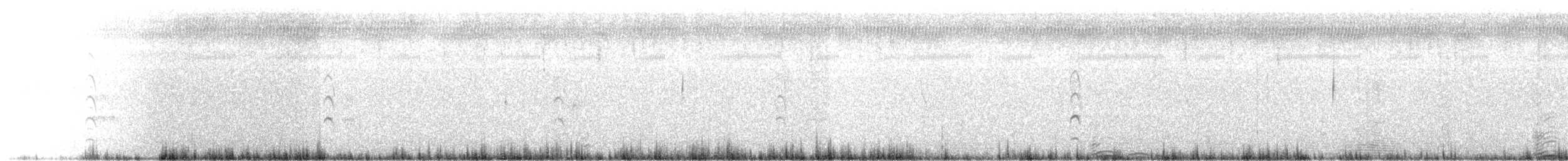 Aplomado Falcon - ML627011991