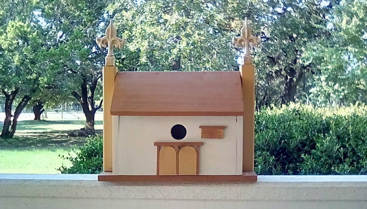 Carolina Chickadee - ML627016807