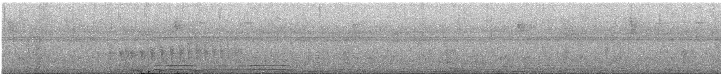 Pacific Antwren - ML627019068