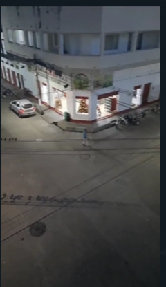 Gray-breasted Martin - ML627019222