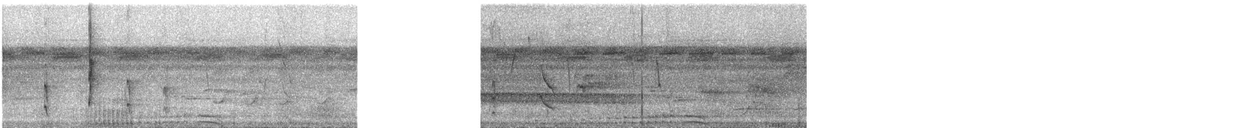 チャバラオオツリスドリ（yuracares／neivae） - ML627022410