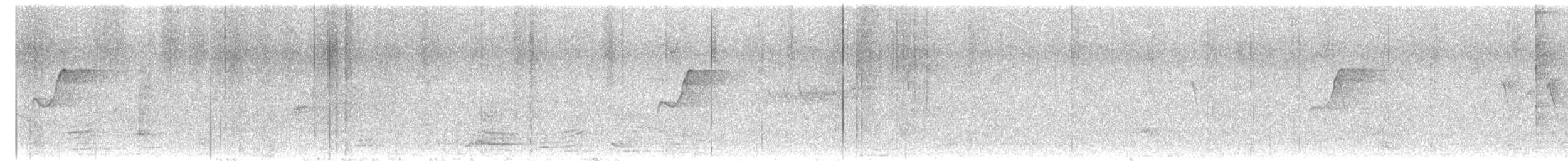 Western Flycatcher (Pacific-slope) - ML627025912