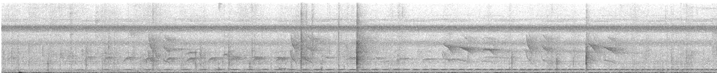 Striated Antthrush - ML627030401