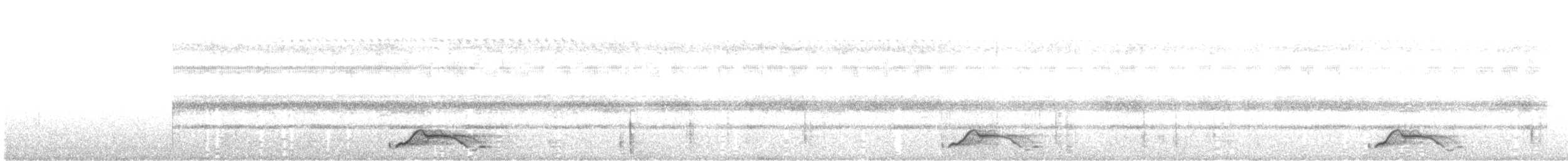 Common Pauraque - ML627030796