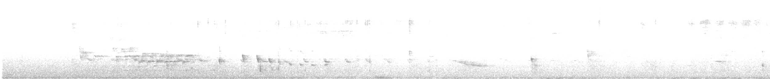 Todirostre à ventre perle - ML627031175