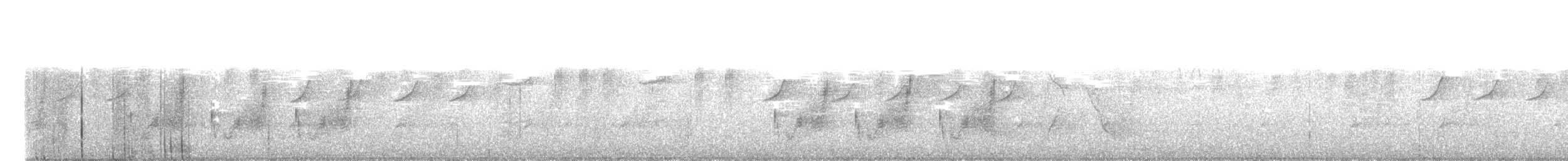 ビロードヒラハシ - ML627037473